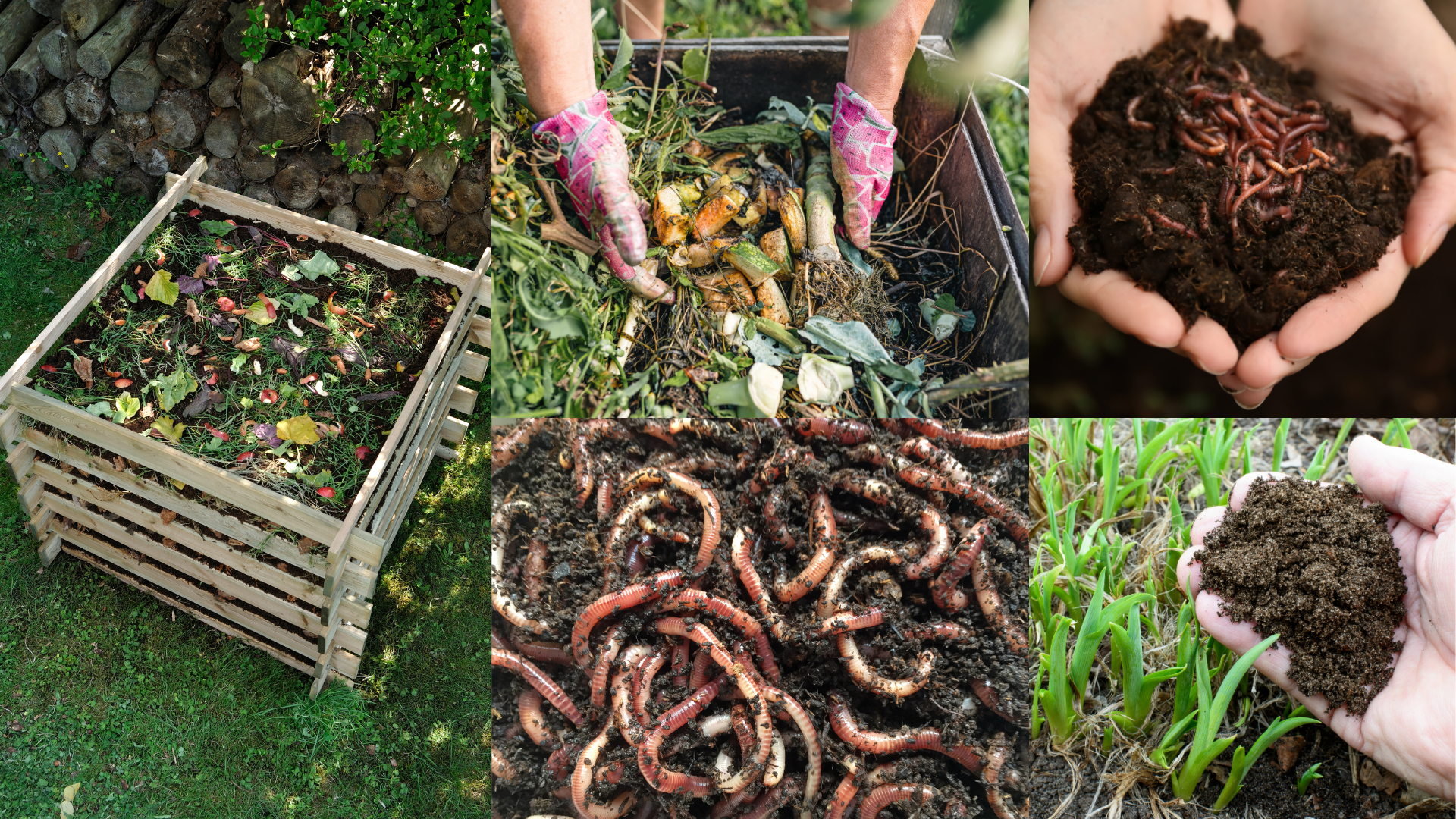 compost pile